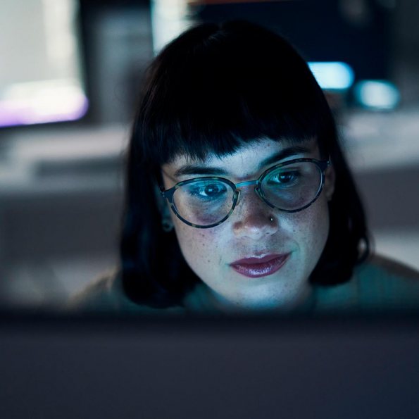 ARTBUTLER PRO - Software lokale Kunstverwaltung